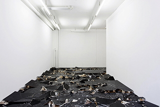 Claudia Kübler: krrrkk