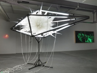 Solar Flare, 19. Juli 2012, Lightthing, Path of Least Resistance