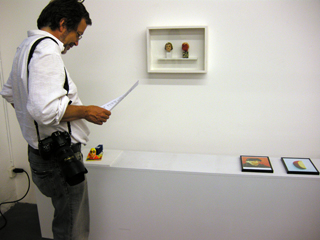 Ausstellung «Gefälschte Kunst im Vebikus», 7.5.2009
