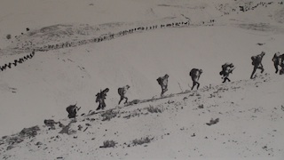 Othmar Eder: Wanderer, 2010/11