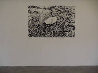 Ausstellung Othmar Eder