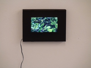 Ausstellung Othmar Eder