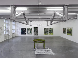 Installation: Was bleibt - Wald, Holztisch, Fenchelstauden
