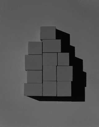Goran Potkonjak: An attempt to build a house III, 2014