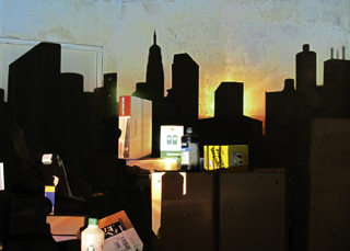 Susanne Hofer, Vorstadt, Installation 2009