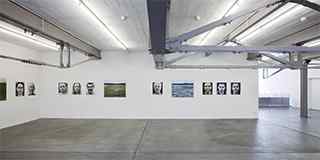 Ausstellung «Faceland», 2009