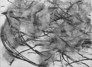 Ohne Titel, 2012, Kohle auf Papier, 59 x 42 cm