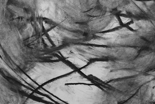 Ohne Titel, 2012, Kohle auf Papier, 59 x 42 cm