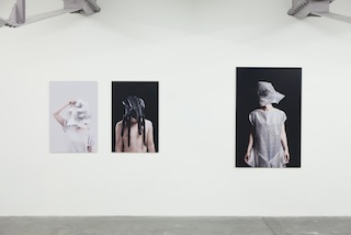 Maya Wipf: Larven, 2012