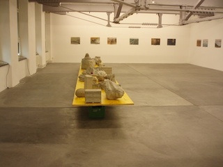 Ausstellung Sara Rohner, Rosmarie Vogt-Rippmann