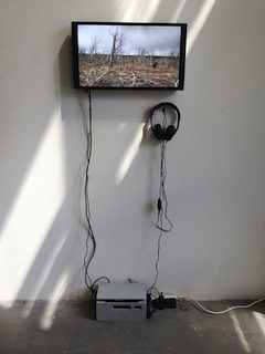Paolo Rossi, Installation im Vebikus: Soulpieces (Video)