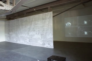 Patrick Steffen, Installation im Vebikus: Wiese und Haus